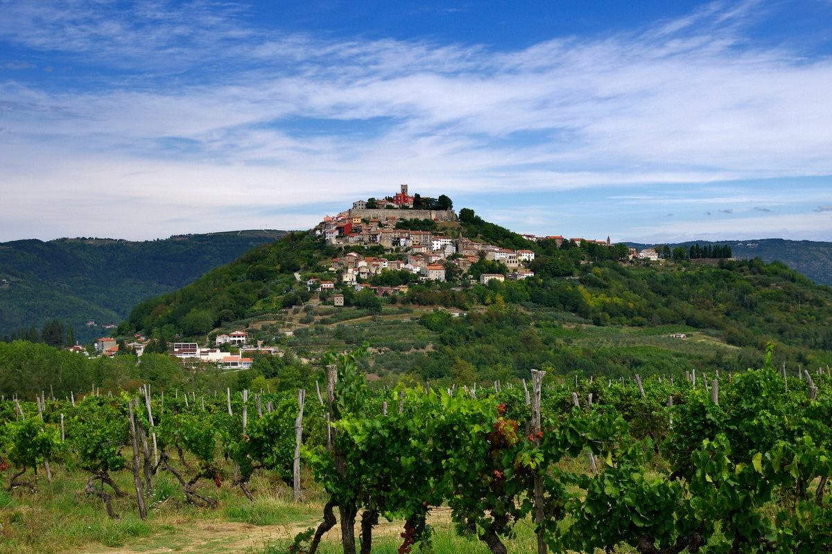 Vins d'Istrie