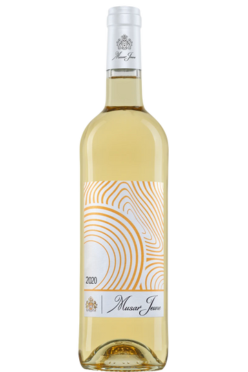 Château Musar - Musar Jeune Weiß 2021